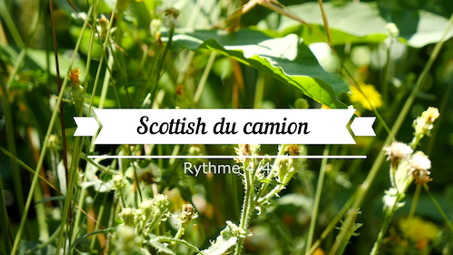 Scottish du Camion(alc)